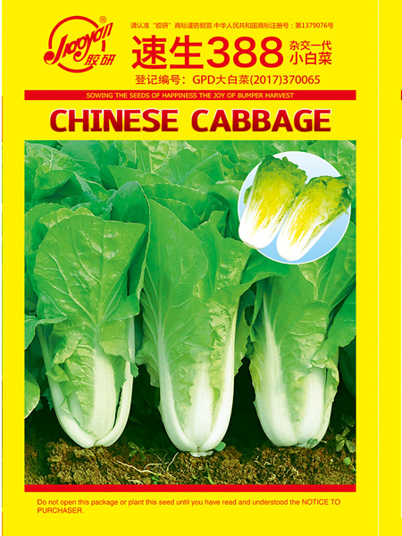    Susheng 388 (Fast Vegetable)——Fast-growing Pakchoi